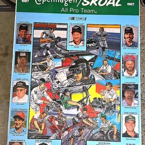 Copenhagen/Skoal All Pro Team Poster